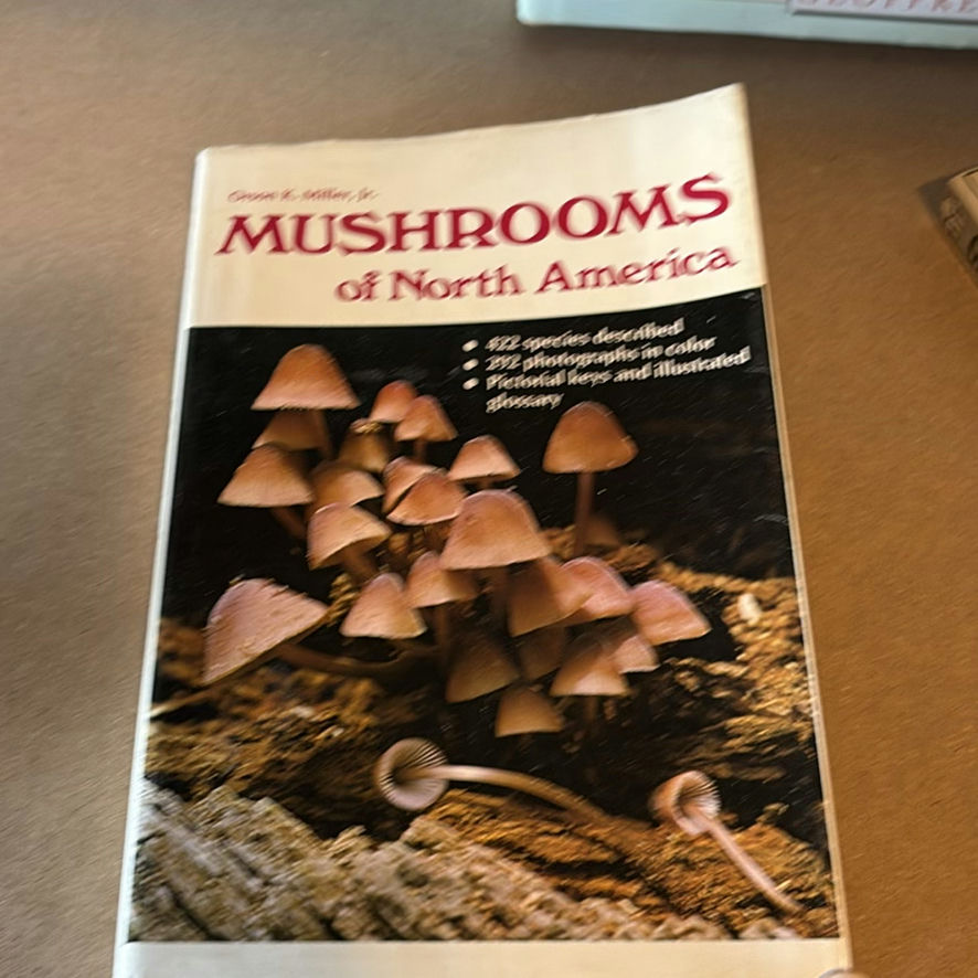Collection Of Mushroom Guide Books - image 9 of 9