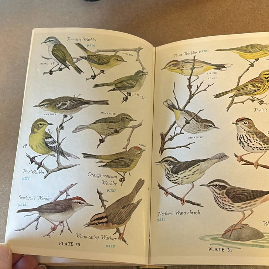 Birding Books with Binoculars - image 8 of 13