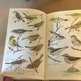 Birding Books with Binoculars - thumbnail 8 of 13