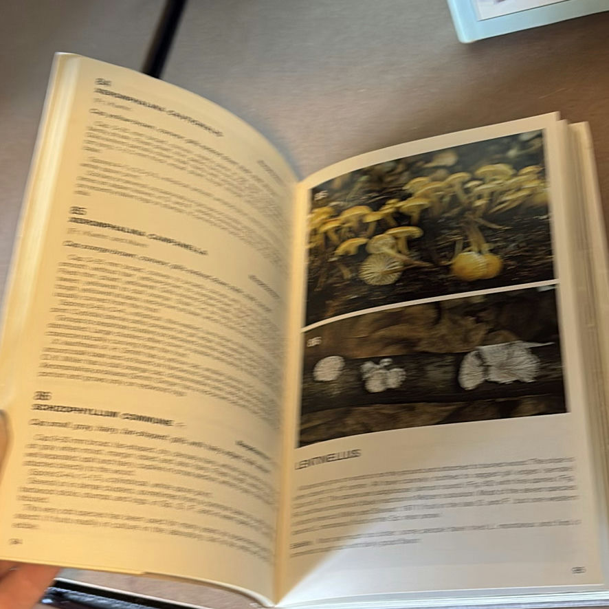 Collection Of Mushroom Guide Books - image 8 of 9