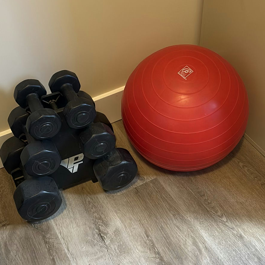 Vinyl Dumbbell Set with Rack and Bally Total Fitness Exercise Ball - image 7 of 8
