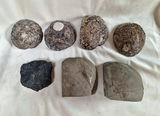 Collection of Geode, Agate, and Polished Stone Specimens - thumbnail 3 of 4