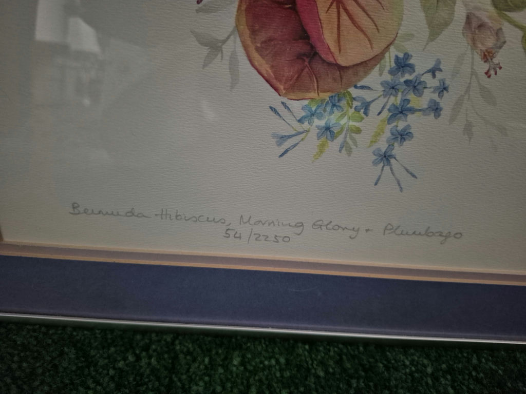 Three framed floral art prints - image 7 of 8