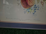 Three framed floral art prints - thumbnail 7 of 8