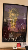 Four Framed Chihuly Art Posters - thumbnail 3 of 4