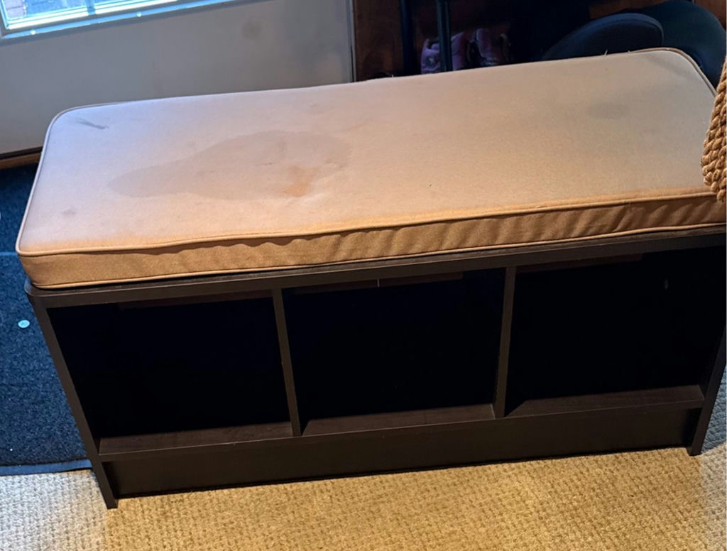 Storage Bench with Cushioned Seat - image 1 of 2