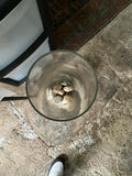 Tall Glass Vase - thumbnail 2 of 3