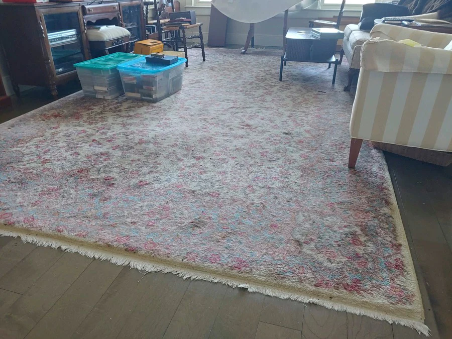 Floral wool area rug - image 2 of 2