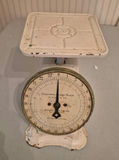 Columbia Family Scale Kitchen Scale - thumbnail 2 of 3