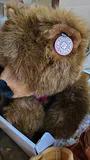 Plush Bears- "Furskin" & Collectors Choice - thumbnail 2 of 5