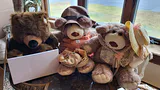 Plush Bears- "Furskin" & Collectors Choice - thumbnail 1 of 5