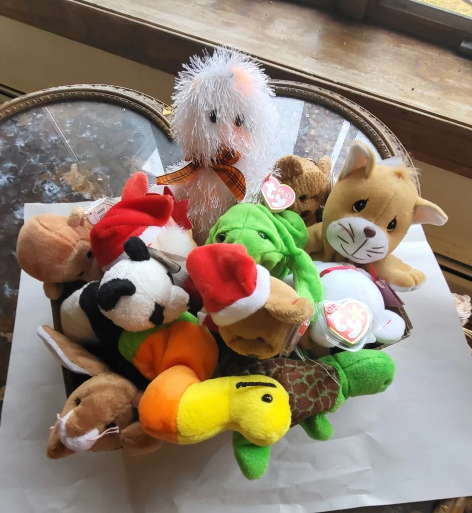 Beanie Baby Lot - image 1 of 1