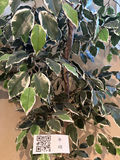 6.5’ Faux Tree - thumbnail 2 of 6