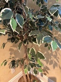 6.5’ Faux Tree - thumbnail 4 of 6