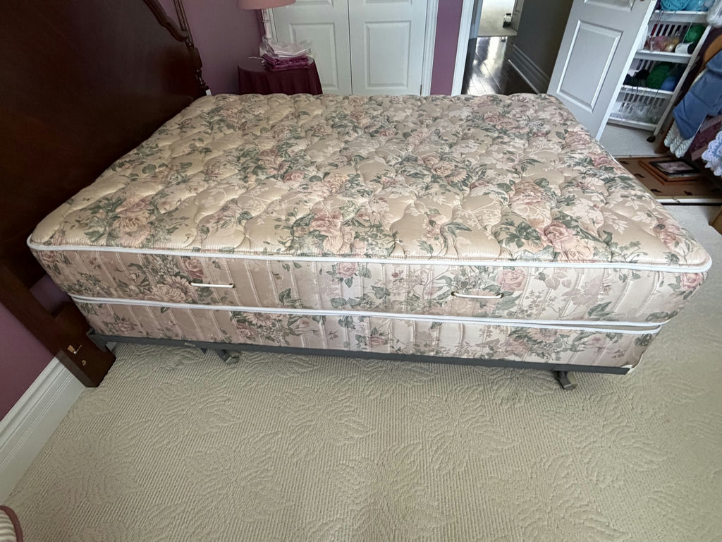 Double Bedframe With Mattress & Boxspring - image 11 of 16
