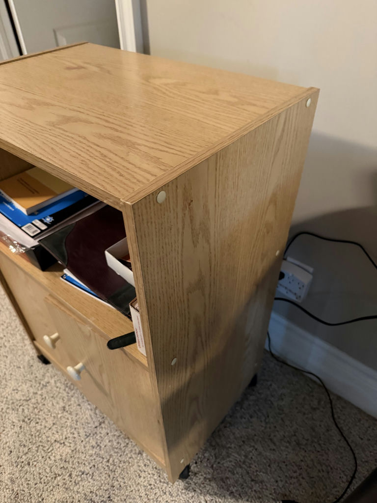 Printer Stand or Office Cabinet - image 4 of 5