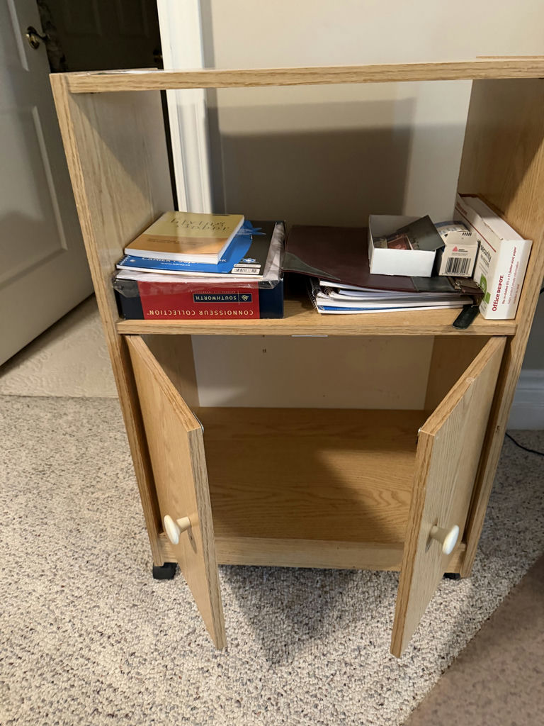 Printer Stand or Office Cabinet - image 2 of 5