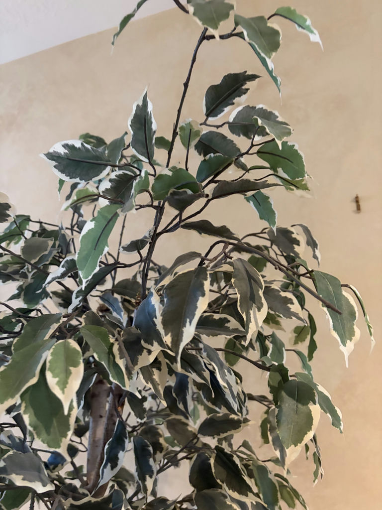 6.5’ Faux Tree - image 3 of 6