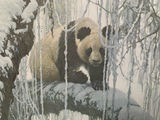 Robert Bateman ‘1996’ Limited Edition Print - thumbnail 4 of 7