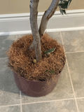 6.5’ Faux Tree - thumbnail 5 of 6