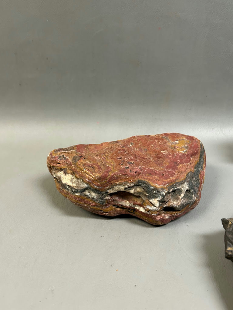 Soapstone Carving and Fossils  - image 7 of 8
