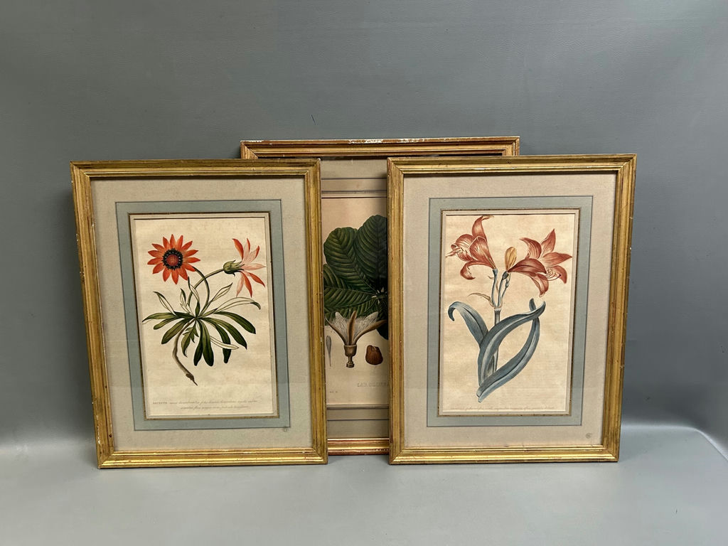 A Group of Three Floral Botanicals - image 1 of 8