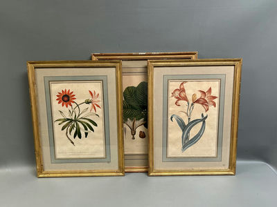 A Group of Three Floral Botanicals  - Image 1 of 8