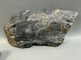 Soapstone Carving and Fossils - thumbnail 6 of 8