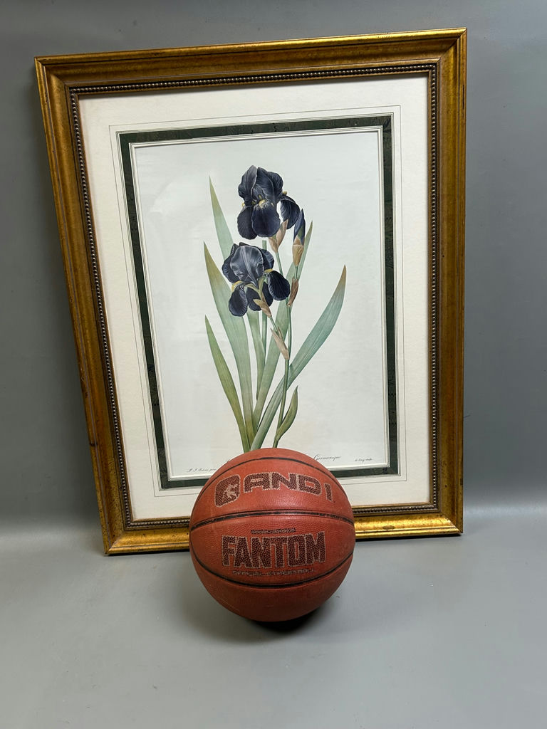 Botanical Iris Lithograph - image 4 of 5