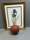 Botanical Iris Lithograph - thumbnail 4 of 5