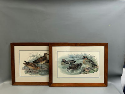 Bird Lithographs  - Image 1 of 5