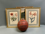 A Group of Three Floral Botanicals - thumbnail 2 of 8