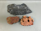 Soapstone Carving and Fossils  - thumbnail 5 of 8
