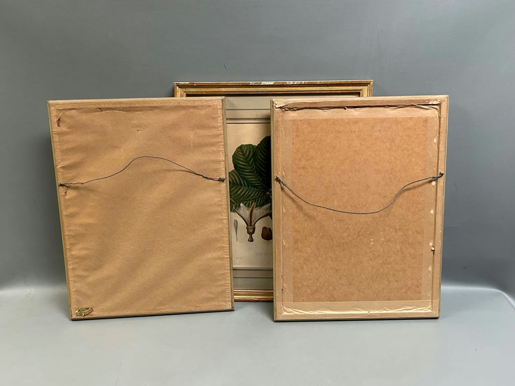 A Group of Three Floral Botanicals - image 8 of 8