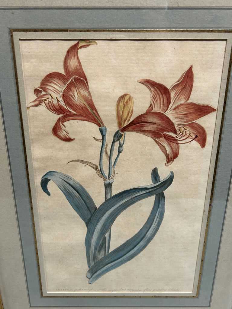 A Group of Three Floral Botanicals  - image 3 of 8
