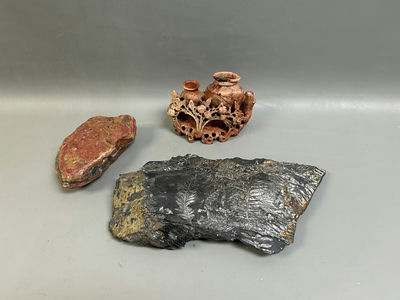 Soapstone Carving and Fossils  - Image 1 of 8