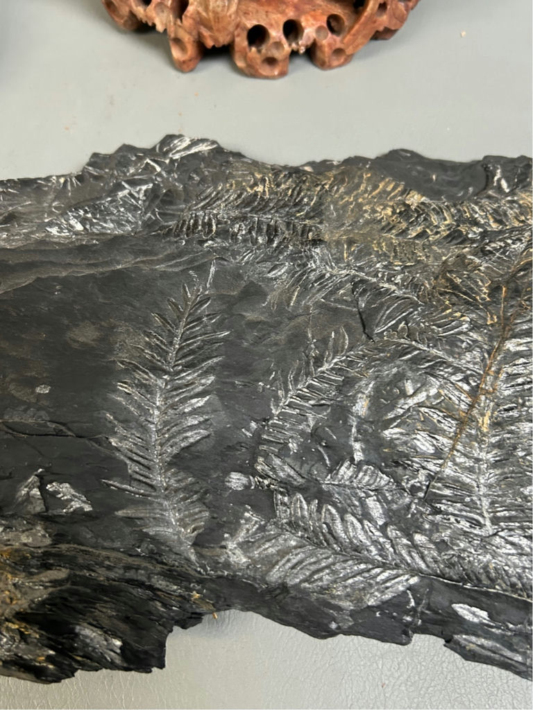 Soapstone Carving and Fossils  - image 4 of 8