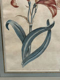 A Group of Three Floral Botanicals - thumbnail 4 of 8