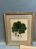 A Group of Three Floral Botanicals - thumbnail 6 of 8