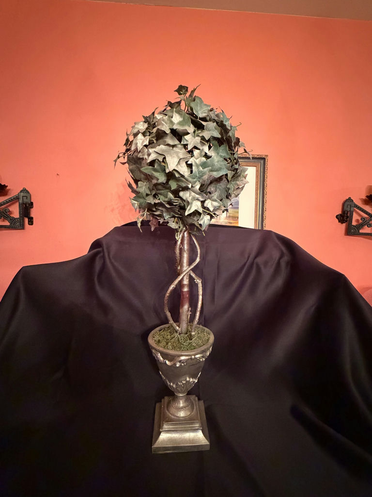 artificial English Ivy topiary tree in a decorative planter.  - image 1 of 6