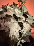 artificial English Ivy topiary tree in a decorative planter.  - thumbnail 2 of 6
