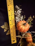 Fall Foliage pieces  - thumbnail 2 of 2