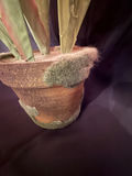 Artificial Crocosmia plant - thumbnail 4 of 4