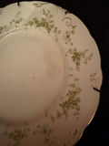 Alfred Meakin Windermere plate - thumbnail 2 of 6