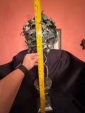 artificial English Ivy topiary tree in a decorative planter.  - thumbnail 6 of 6