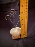 seashell place card holder - thumbnail 2 of 2