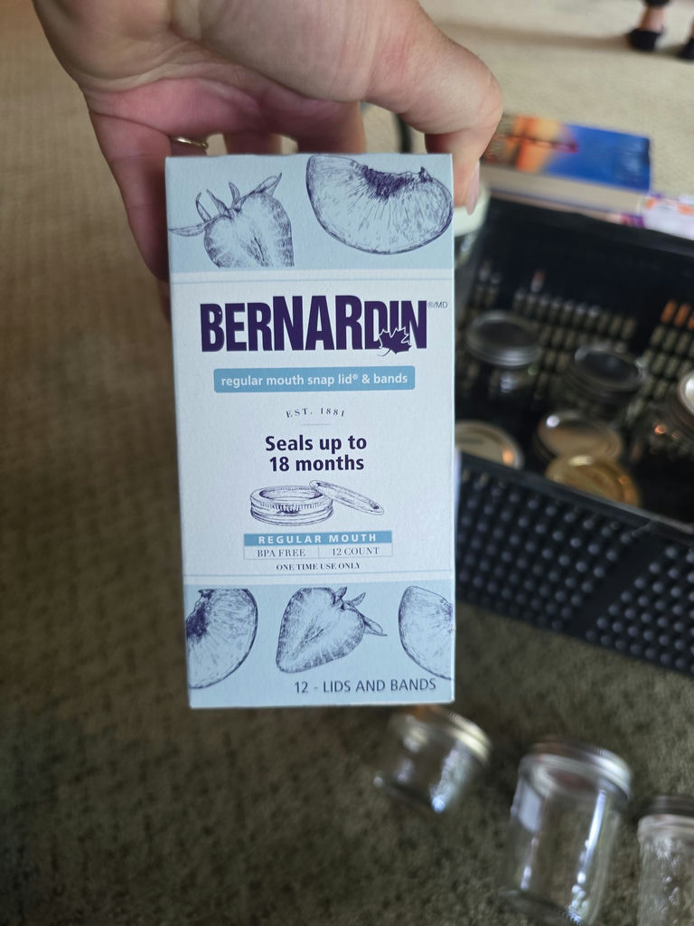 Bernardin Mason Jars and Snap Lids Assortment - image 3 of 4