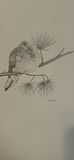 Set of Four Bird Illustration Prints By Frank Cipra - thumbnail 10 of 11
