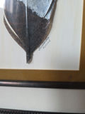 Framed Wolf Wildlife Prints and Feather Artwork - thumbnail 6 of 9