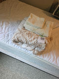 Floral Double Bedding Set with Comforter and Sheets - thumbnail 2 of 4